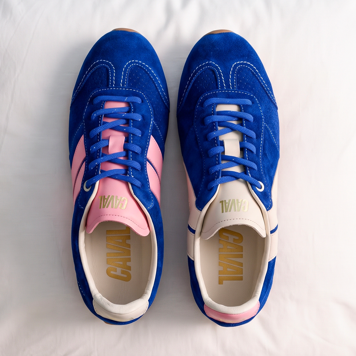 Blue Fairy – CAVAL