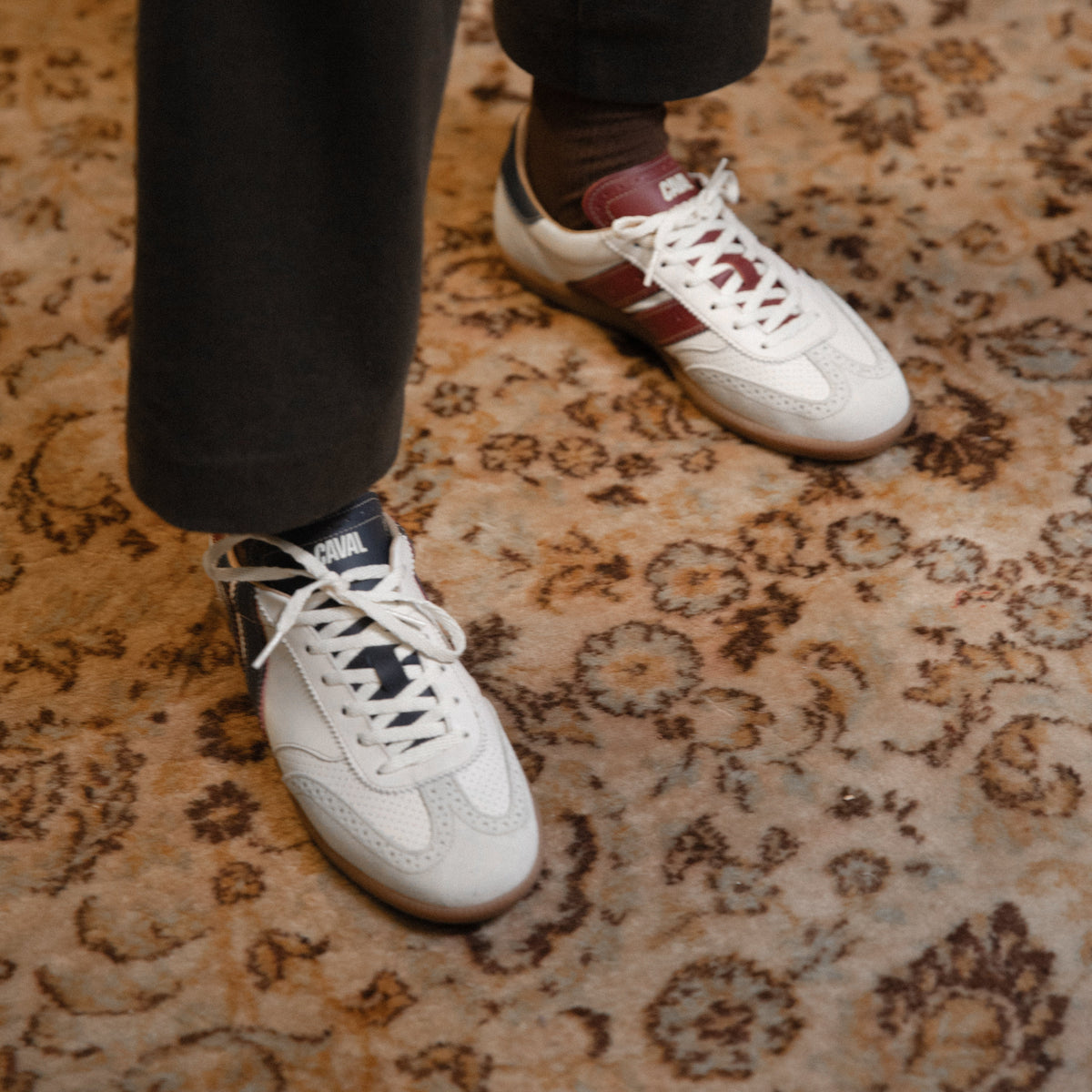 White Crocket – CAVAL