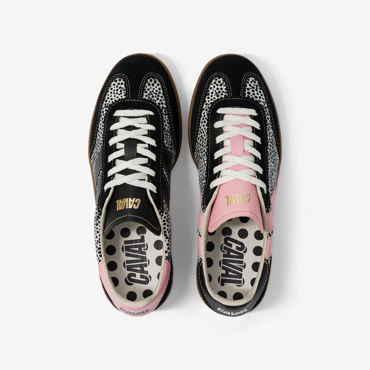 Polka Pop